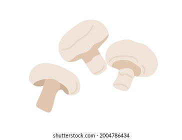 Fresh champignon fungi composition. Whole mushrooms and slice of fungus. Cut piece and full veggie. Flat vector illustration of raw natural food isolated on white background