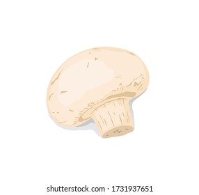 Fresh champignon isolated on white background.