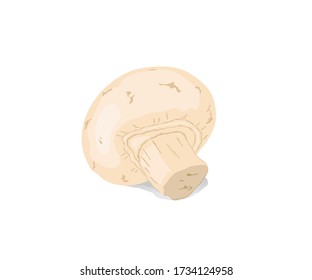 Fresh champignon isolated on white background.