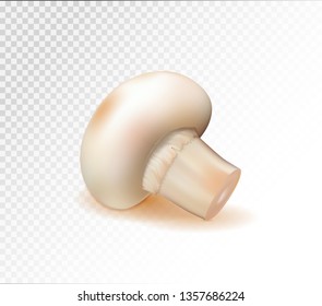Fresh champignon mushroom isolated. Healthy food. Quality realistic vector, 3d
