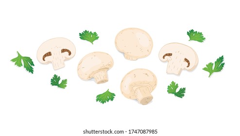 Fresh champignon mushrooms and parsley leaf isolated on white background.