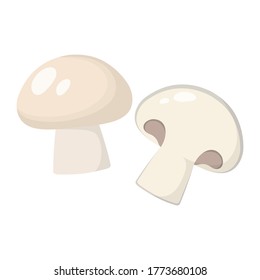 fresh champignon, organic mushrooms whole and half isolated white background, vector illustration in flat cartoon style