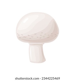 Fresh champignon. Ripe vegetable mushroom to eating, vegetarian gourmet.