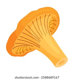 Fresh chanterelle mushroom Hand drawn trendy flat style isolated icon. Edible fungi chanterelle, Yellow mushroom. Vector illustration