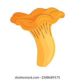 Fresh chanterelle mushroom Hand drawn trendy flat style isolated icon. Edible fungi chanterelle, Yellow mushroom. Vector illustration