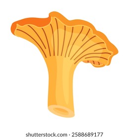 Fresh chanterelle mushroom Hand drawn trendy flat style isolated icon. Edible fungi chanterelle, Yellow mushroom. Vector illustration