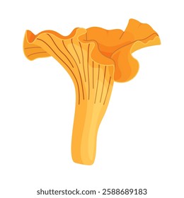 Fresh chanterelle mushroom Hand drawn trendy flat style isolated icon. Edible fungi chanterelle, Yellow mushroom. Vector illustration