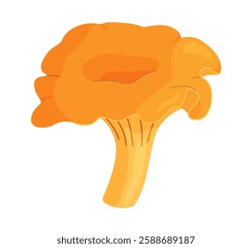 Fresh chanterelle mushroom Hand drawn trendy flat style isolated icon. Edible fungi chanterelle, Yellow mushroom. Vector illustration