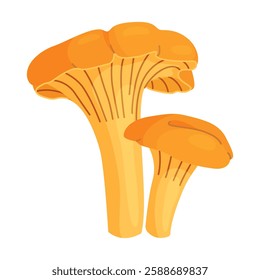 Fresh chanterelle mushrooms Hand drawn trendy flat style isolated icon. Edible fungi chanterelle, Yellow mushrooms. Vector illustration