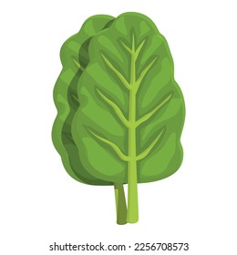 Fresh chard icon cartoon vector. Green plant. Nature food