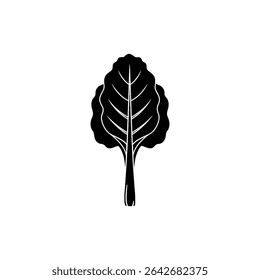 Fresh chard leaf with vibrant colored stem isolated on white background