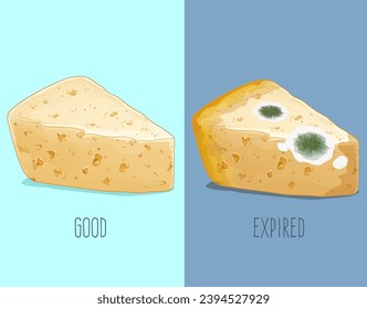 Fresh cheese. Expired cheese, moldy cheese. How to identify expired food. Comparison of fresh and expired cheese. Vector illustration. 