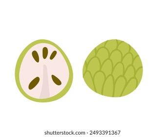 Fruta fresca de la chirimoya, representada entera y partida por la mitad. Manzana natilla con cáscara verde escamosa y pulpa blanca con semilla marrón. Fruta tropical, estilo de dibujos animados simple. Ilustración vectorial aislada en blanco.