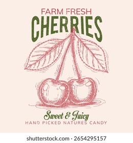 Fresh cherry artwork. Organic fruit market. Cherry fruit print. Nature fruit club print design. Organic food artwork for for t-shirt. Fruit vintage t-shirt design. vintage graphics print art, women's