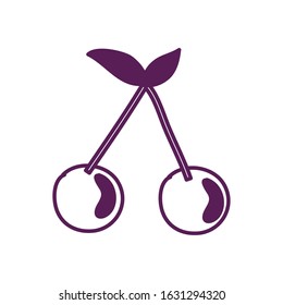 fresh cherry fruit isolated icon vector illustration design