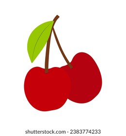 Frische Kirschfrucht einzeln auf weißem Hintergrund, flache Vektorgrafik.
