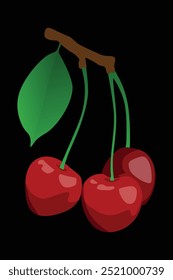 Fresh Cherry Fruit Vector Illustration Design