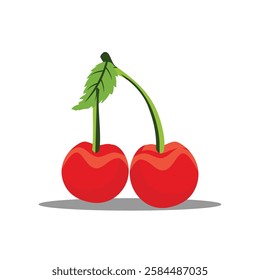 fresh cherry illustration vector icon