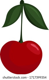 Fresh cherry, illustration, vector on white background