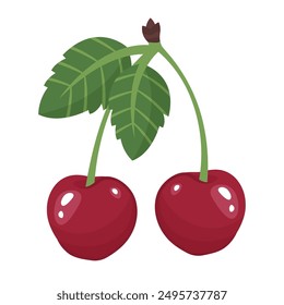 Fresh cherry isolated on white background. Cherries bunch. Juices ripe fruit with leaves close up. Berries top view. Delicious Organic food. Vector illustration