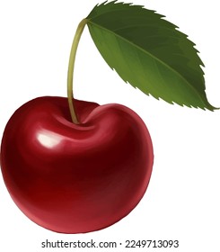Fresh Cherry with Leaf Detailed Beautiful Hand Drawn Vector Illustration