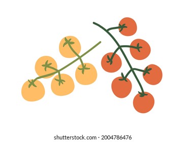 Fresh cherry tomato branches. Small vegetables on food plant. Red and yellow natural raw veggies on twigs. Flat vector illustration isolated on white background