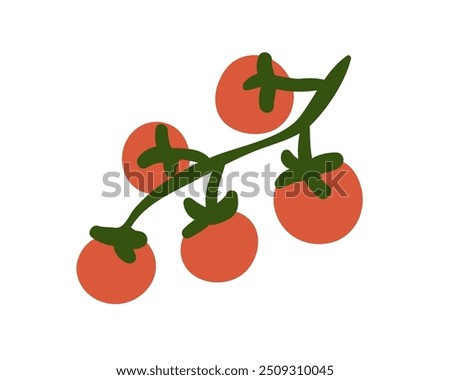 Fresh cherry tomato growing on branch. Small red vegetables on food plant. Organic natural raw veggies, healthy eating icon. Flat graphic vector illustration isolated on white background