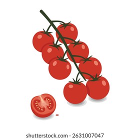 Fresh cherry tomatoes on vine with one cut in a half. Modern minimal vector illustration perfect for food packaging, recipe books, menu design and organic product branding