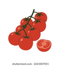 Fresh cherry tomatoes on vine with one cut in a half. Modern minimal vector illustration perfect for food packaging, recipe books, menu design and organic product branding