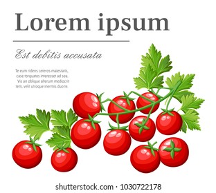 Fresh cherry tomatoes vegetable from the garden organic food red tomato on green branch vector illustration with place for your text isolated on white background web site page and mobile app design.