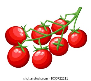 Fresh cherry tomatoes vegetable from the garden organic food red tomato on green branch vector illustration isolated on white background web site page and mobile app design.