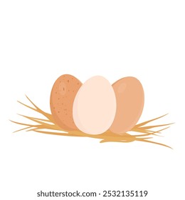 Fresh chichen eggs in straw isolated on white background. Brown and white farm eggs. Vector illustration