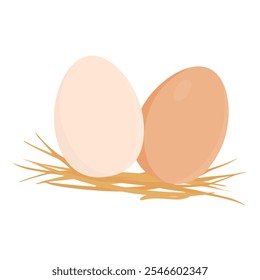 Fresh chichen eggs in straw isolated on white background. Brown and white farm eggs. Vector illustration