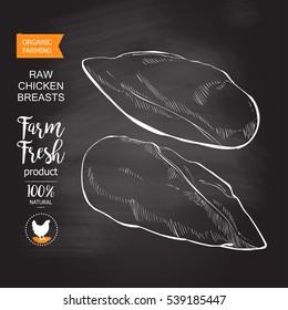 Fresh chicken breast. Top view. Isolated on a white vintage vector isolated sketch hand drown chalk drawing on the blackboard