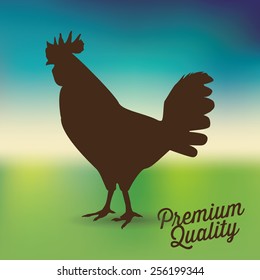 fresh chicken design, vector illustration eps10 graphic 