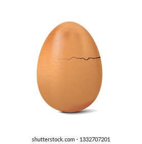 fresh chicken egg crack vector on white background, realistic broken egg illustration