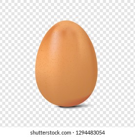 fresh chicken egg isolated on a transparent background, realistic vector illustration