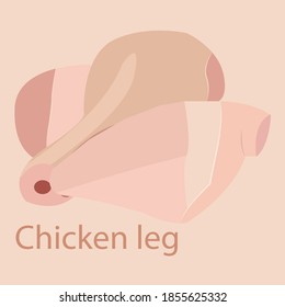 fresh chicken legs in vector.
healthy lifestyle. Diet. Natural product.