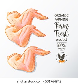 Fresh chicken wings. Top view. Isolated vintage vector isolated sketch hand drawn drawing