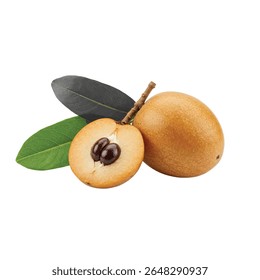 Fresh Chikoo Fruit with Green Leaves Isolated on White Background