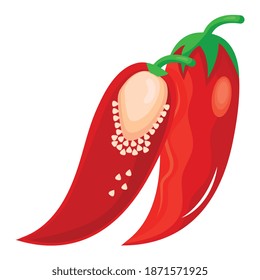 fresh chili pepper vegetable healthy food icon vector illustration design