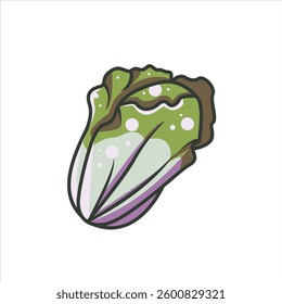 Fresh Chinese Cabbage , also known as Napa Cabbage, Editable Vector high quality vegetable illustration suitable for food packaging, healthy menu food design