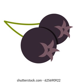 Fresh Chokeberry Or Aronia Berry Icon Flat Isolated On White Background Vector Illustration