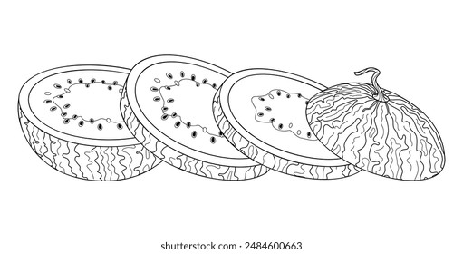 Fresh chopped watermelon line art. Slice of juicy summer fruit. Healthy vegetarian snack, cut watermelon for coloring page Hand drawn Trendy doodle style Watermelon Slices Vector illustration