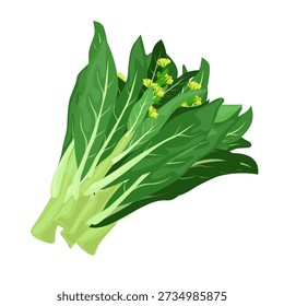 Fresh choy sum cabbage with green leaves and tender stems. Popular Asian leafy vegetable used in Chinese and Southeast Asian cuisine, healthy cooking, plantbased nutrition, and food design projects.