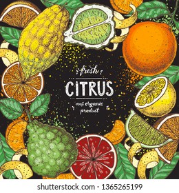Fresh Citrus collection. Hand drawn vector illustration. Organic food frame, citrus design template. Colored illustration. Vintage citrus set. 