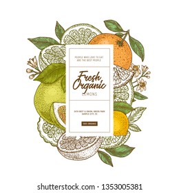 Fresh citrus design template. Engraved style illustration. Orange, flowers, lemon, tangerine. Vector illustration