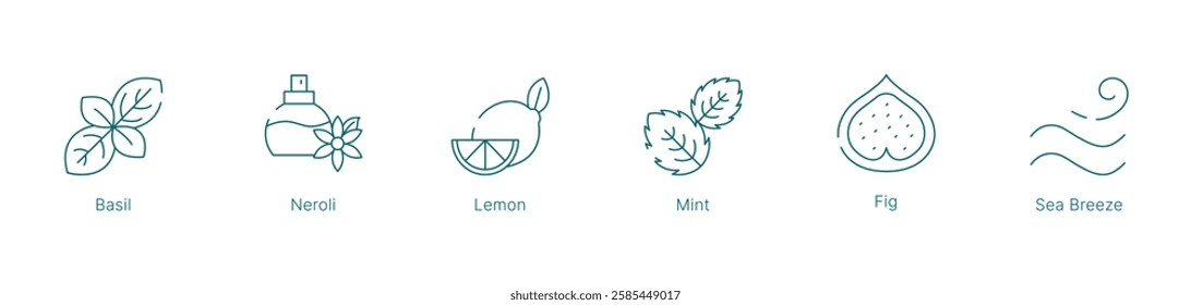 Fresh and Citrus Fragrance Notes Vector Icon Set