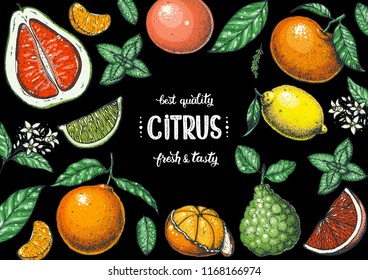 Fresh citrus frame. Hand drawn vector illustration. Organic food, citrus design template. Colored illustration. Citrus collection.