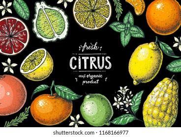 Fresh citrus frame. Hand drawn vector illustration. Organic food, citrus design template. Colored illustration. Citrus collection.
